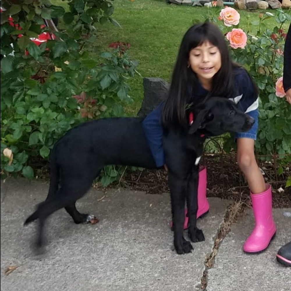 Meet your Posher, Alina